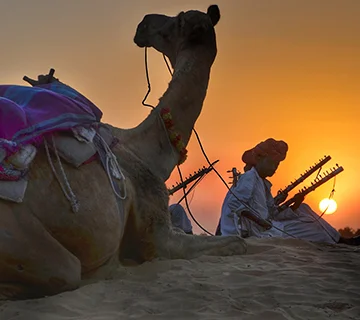 rajasthan desrt safari tour