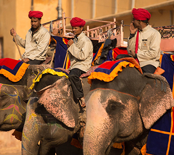 rajasthan luxury tour